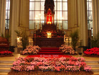 Kerk in de Bloemen (editie 2006)